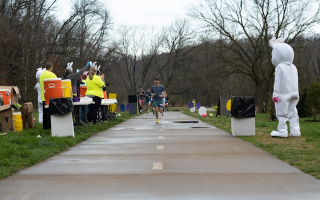 Kontakt z zespołem Jelmolmenta